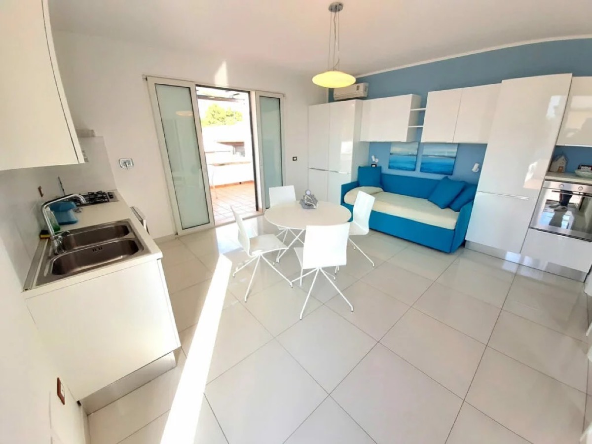 Superior apartment with open-plan kitchen, sofa and dining area